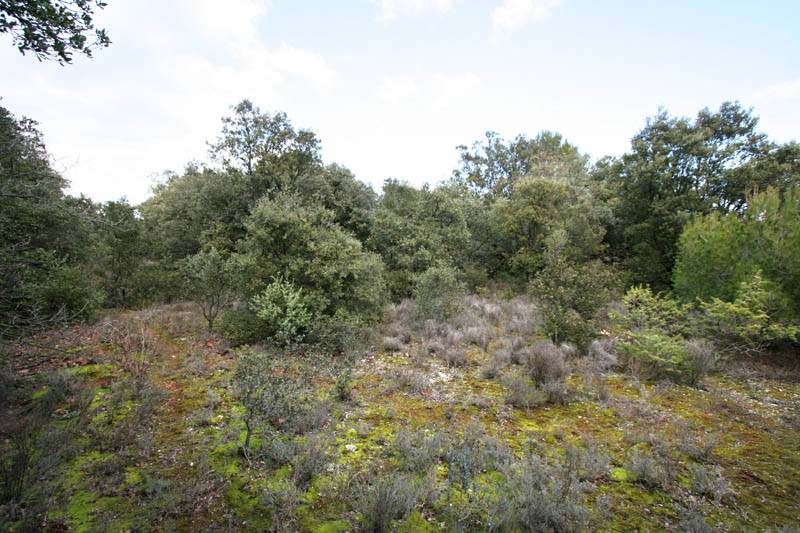 Terrain à  batir Terrain à  batir