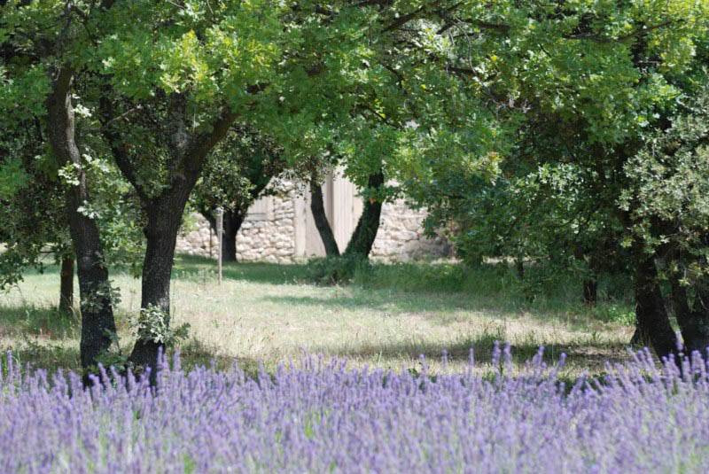 Mas Restauré Mas Restauré