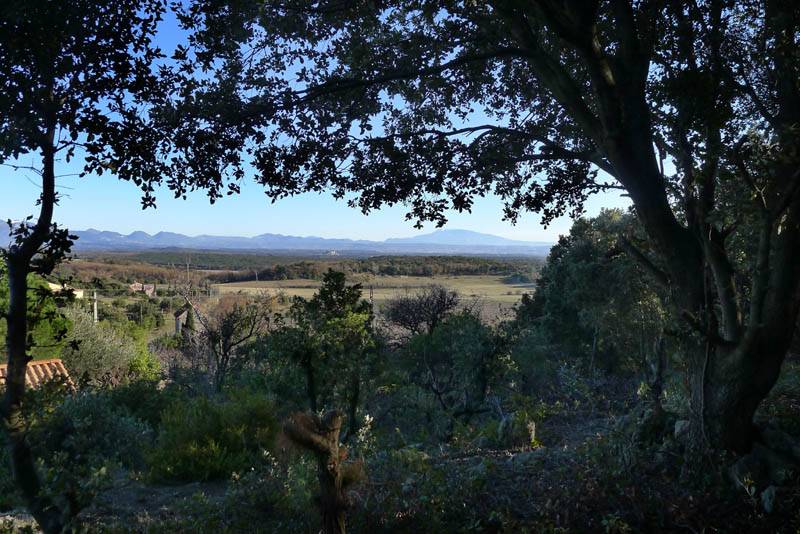Terrain à  batir Terrain à  batir