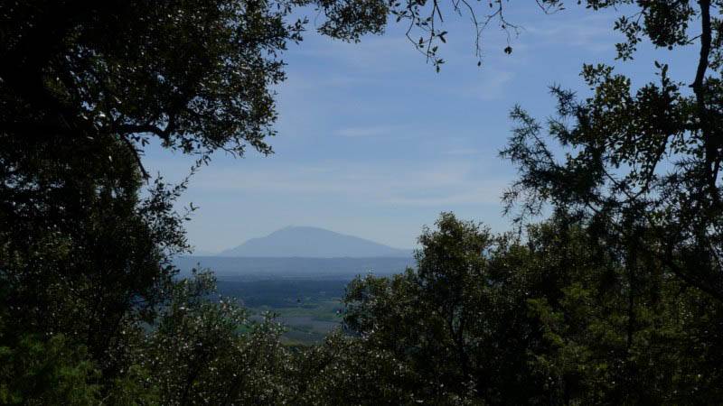 Mas Restauré Mas Restauré