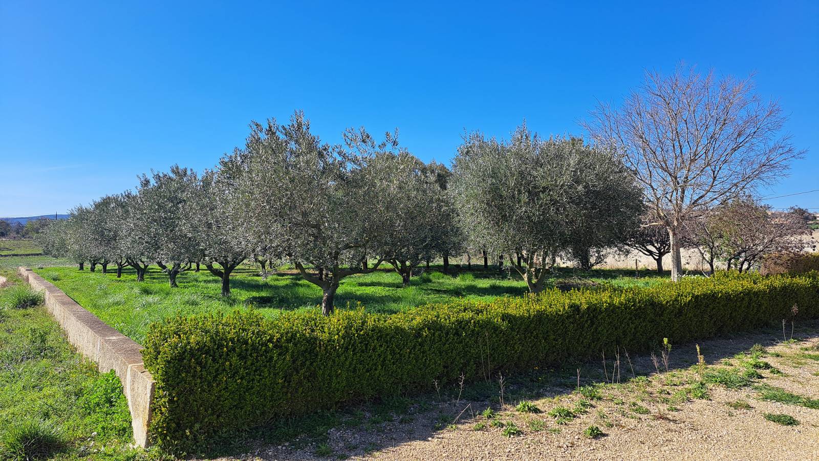 Très jolie propriété à rénover, St Just d'Ardeche Sud Ardèche 