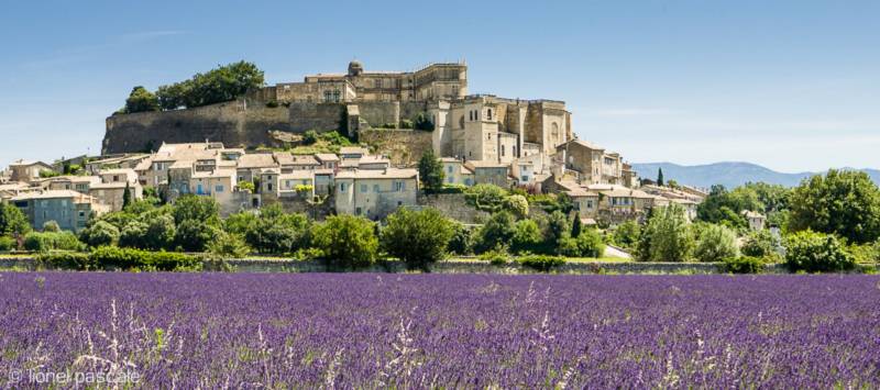 Terrain à vendre sur le  beau village de Grignan  