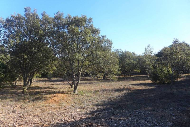 terrain à batir St Restitut 