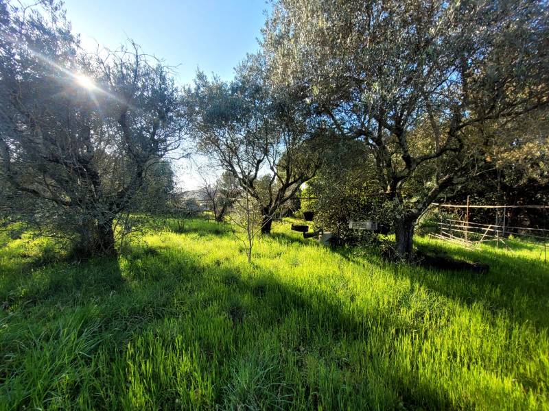 Terrain constructible à deux pas du centre ancien de Saint Paul Trois Châteaux   