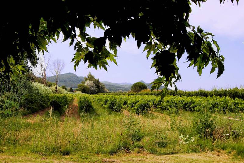 Maison à vendre à Villedieu