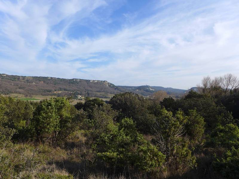 Trés beau terrain à bâtir sur Clansayes  SOUS OFFRE PAR NOS SOINS