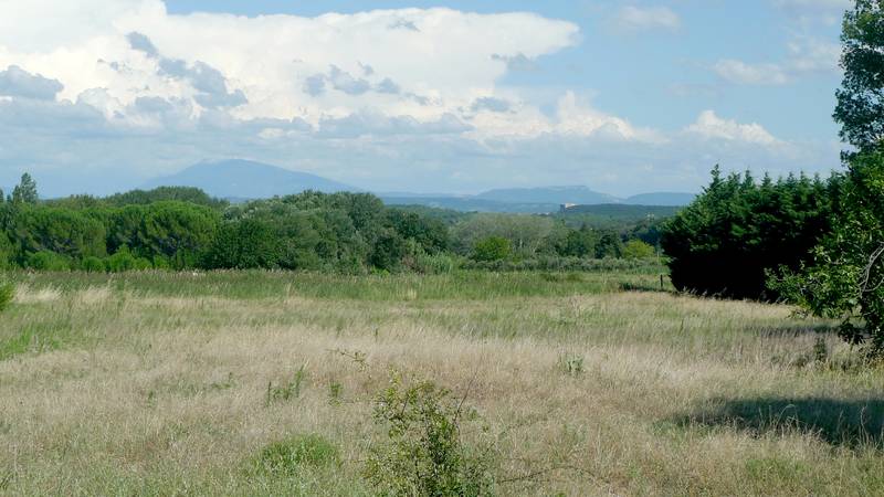 Terrain agricole Saint Restitut COMPROMIS SIGNE PAR NOS SOINS Terrain agricole Saint Restitut vue dégagée COMPROMIS SIGNE PAR NOS SOINS