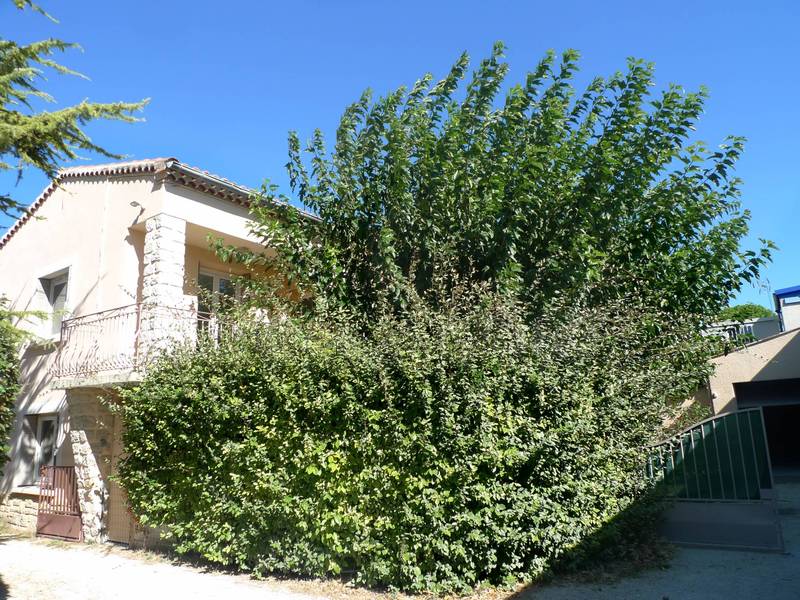  A 2 pas du centre de St Paul 3 Châteaux, VENDUE PAR MIRANDA IMMOBILIER